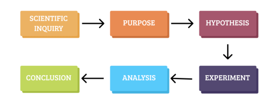 P5.js investigation interface overview
